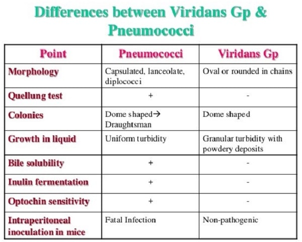 تفاوت‌های بین پنوموکک و استرپتوکوک‌های ویریدانس
