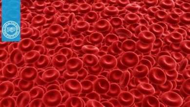 اریتروسیتوز با افزایش پاتولوژیک توده‌ی گلبول‌های قرمز مشخص می‌شود