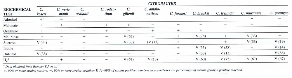 جدول وجوه تمایز گونه‌های مهم کلینیکی جنس سیتروباکتر