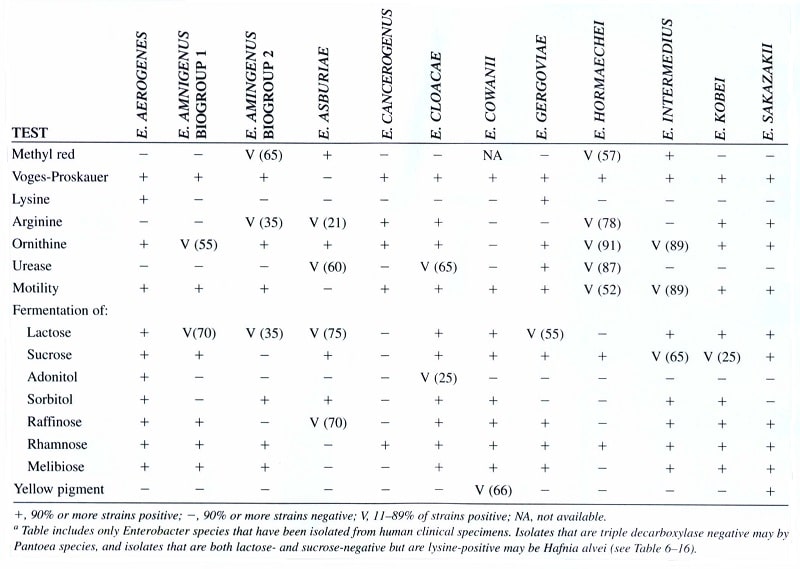 جدول وجوه تمایز گونه‌های مهم کلینیکی جنس انتروباکتر
