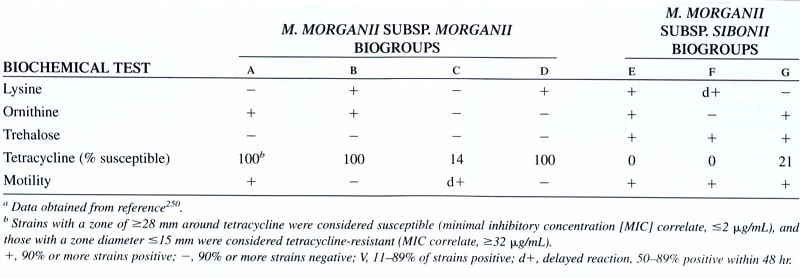 جدول وجوه تمایز گونه‌های مهم کلینیکی جنس مورگانلا