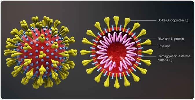 ساختار ویروس کرونای جدید