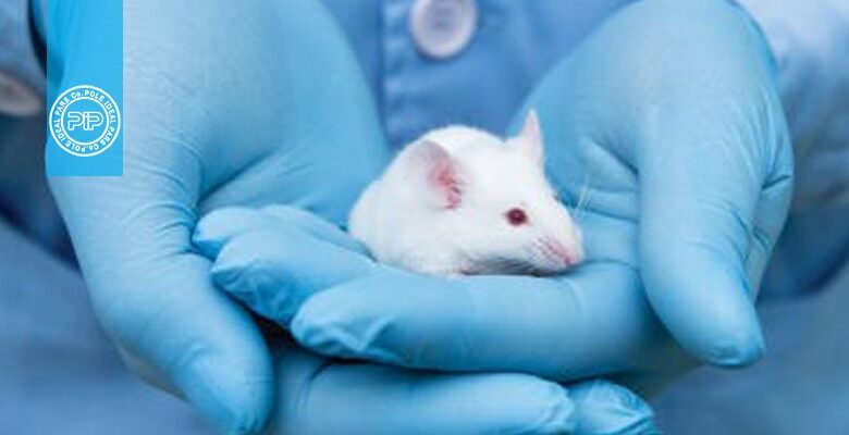 افزایش ایمنی شغلی با کنترل آلرژی ناشی از کار با حیوانات آزمایشگاهی