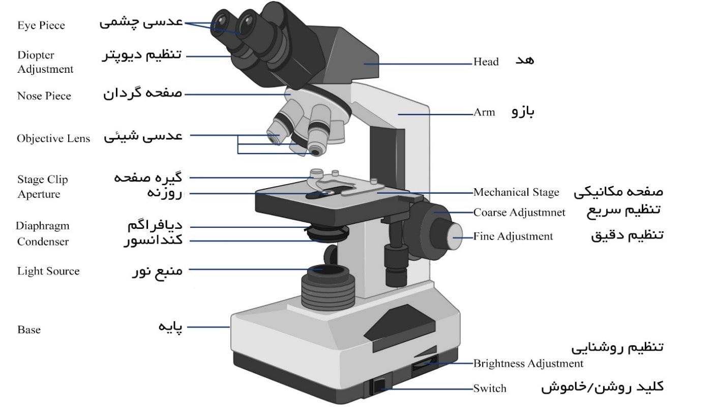 اجزای میکانیکی میکروسکوپ