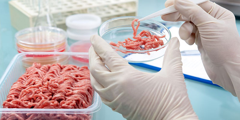 آزمایش میکروبیولوژی در صنایع غذایی