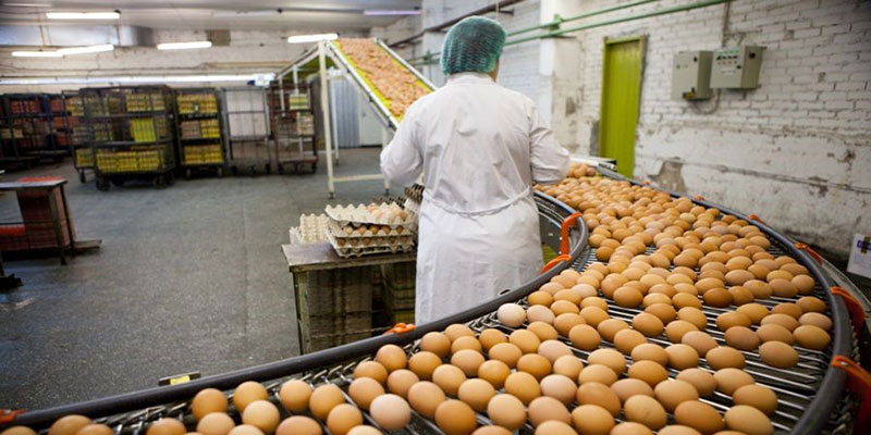 جلوگیری از سالمونلا در کارخانجات صنایع غذایی