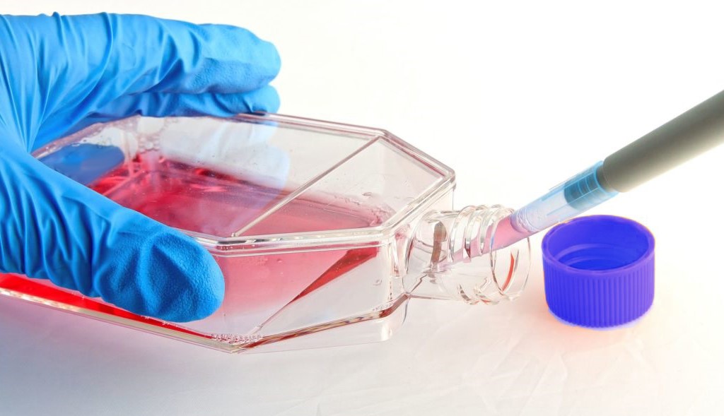 سلول‌های چسبنده و سوسپانسیونی انتخاب روش مناسب برای فرآیند کشت سلولی مجله پل ایده‌آل پارس