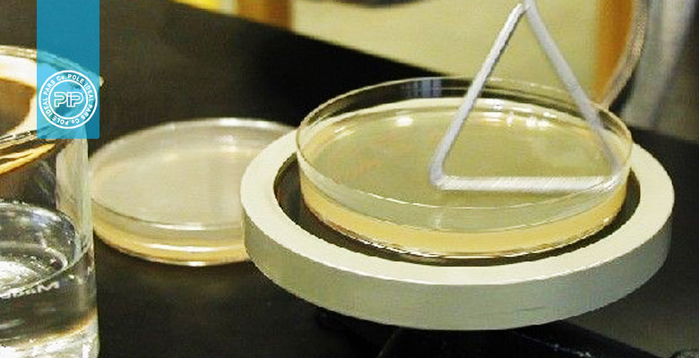 تکنیک اسپرید پلیت در میکروبیولوژی
