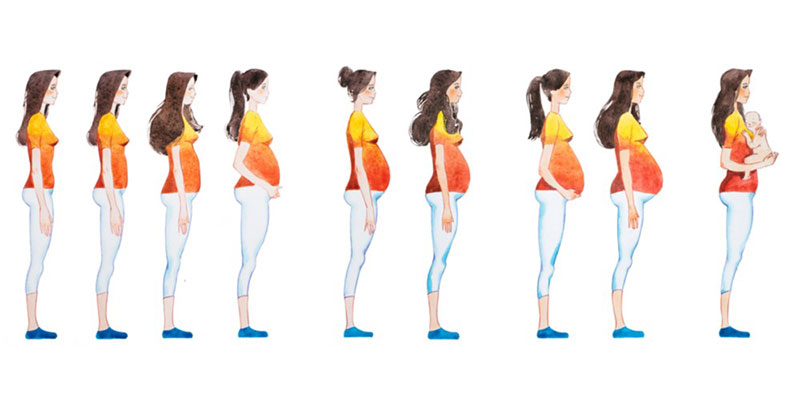 بارداری چیست؟ در طول دوره بارداری چه تغییراتی در بدن ایجاد می‌شود؟