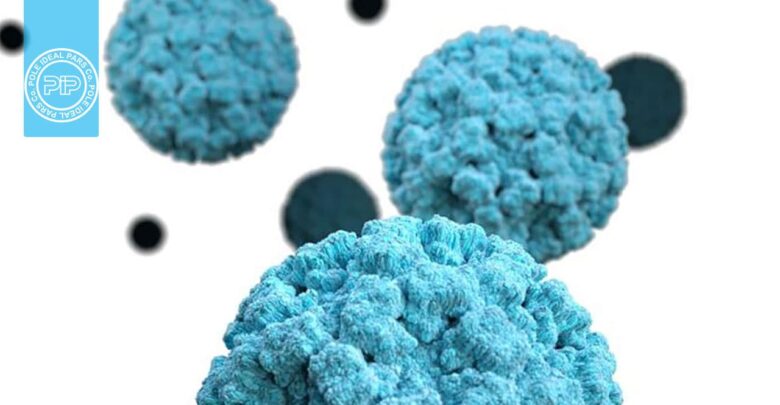 عفونت نوروویروس ، مراقب ویروس جدید واگیردار در زمستان باشید
