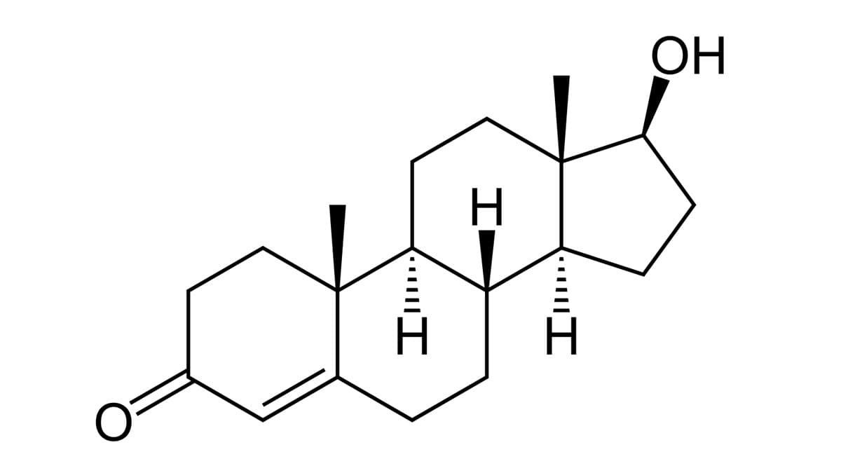 تستوسترون، یکی از داروهای موثر بر باروری