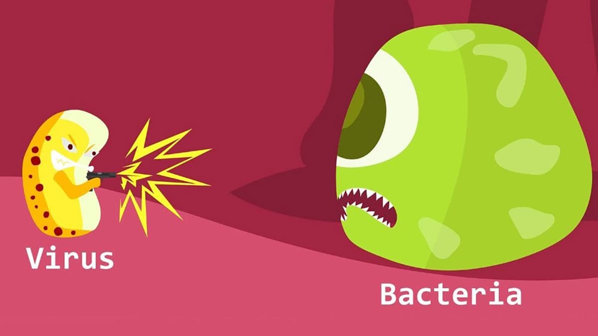 آیا باکتریوفاژها برای انسان مضر هستند؟