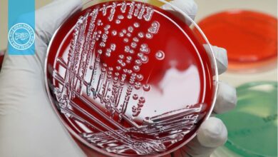 E. coli برای پیشرفت های ژنتیکی حیاتی است