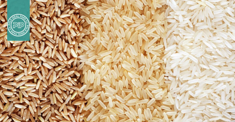 برنج سمی: از اسرار آزمایشگاهی تا راههای فرار از مسمومیت برنج
