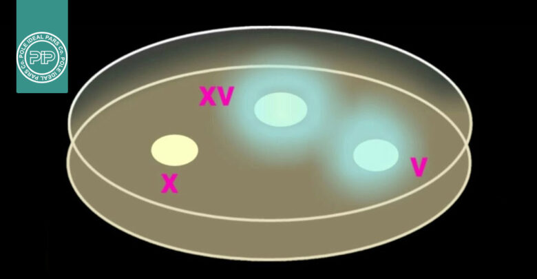 آزمون فاکتور X و V