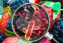 تشخیص مولکولی Cyclospora cayetanensis در محصولات گیاهی