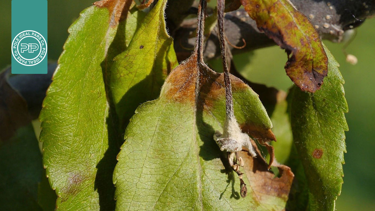 همه با هم در برابر ویروس کرونا