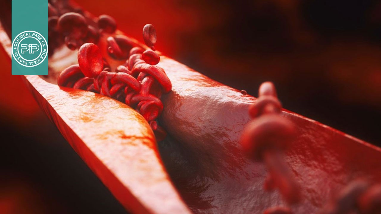 همه با هم در برابر ویروس کرونا