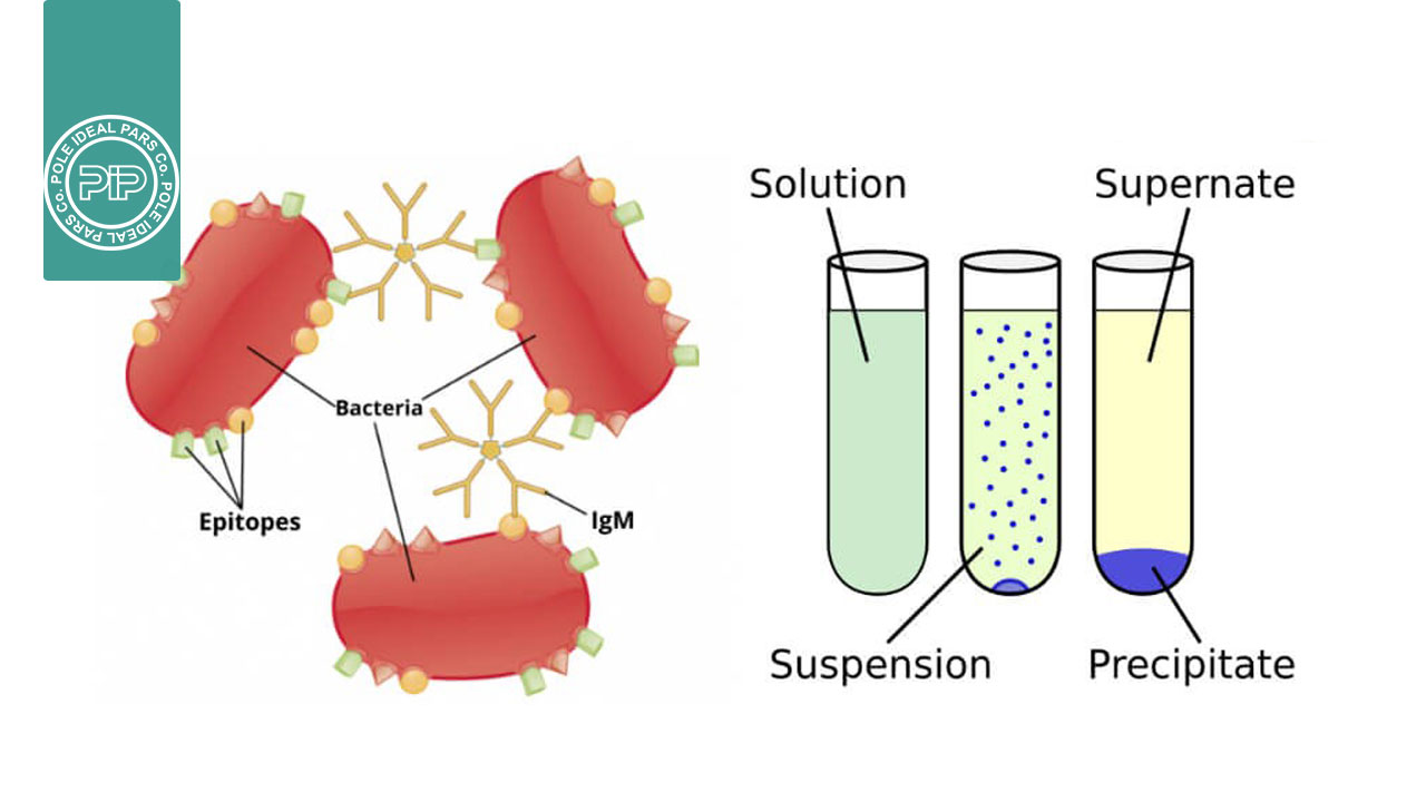 همه با هم در برابر ویروس کرونا