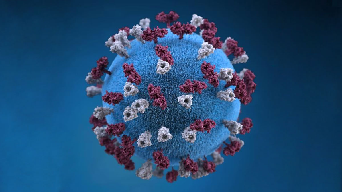 تصویر ویروس سرخک