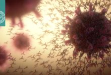 انواع آنتی ‌ژن