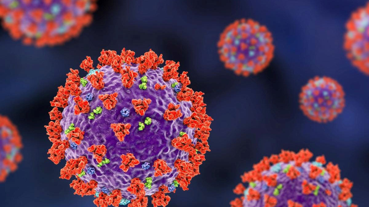 انواع آنتی‌ ژن بر اساس نوع پاسخ ایمنی