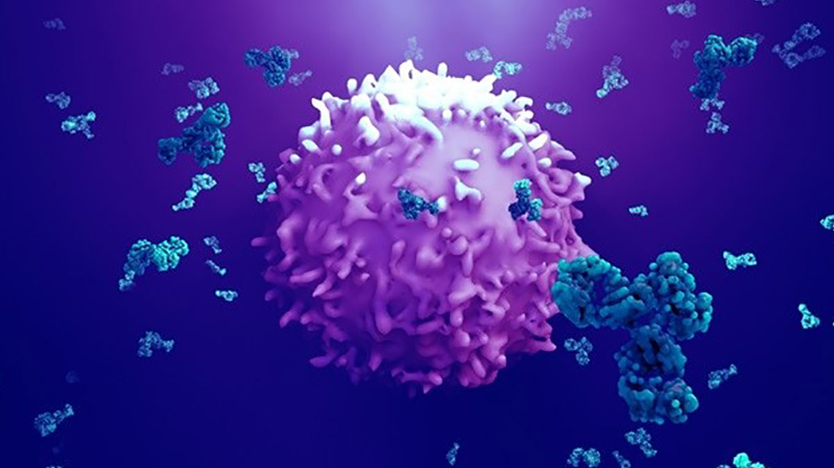 انواع آنتی‌ژن بر اساس منبع یا منشأ