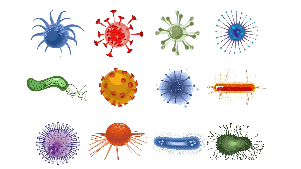 microbe-roles نقش میکروب و پاتوژن در صنعت و فناوری