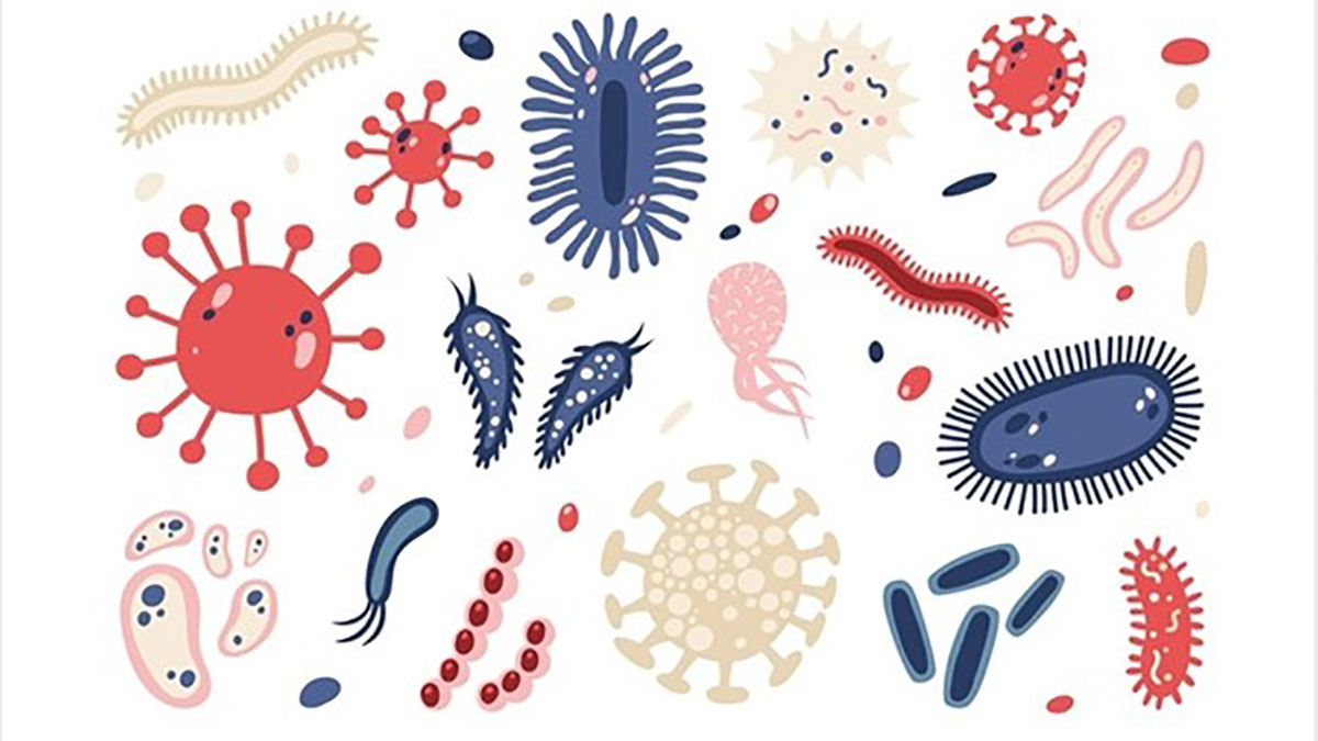 microbe-vs-microorganism-vs-pathogen میکروب دقیقاً چیست؟