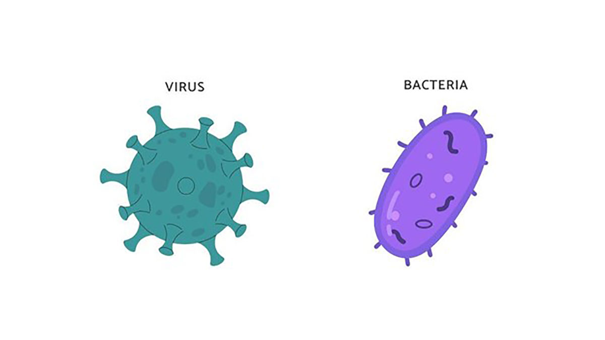 pathogen-virolance پاتوژنها چگونه بیماری ایجاد میکنند؟