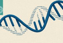 DNA بدون سلول (cfDNA)