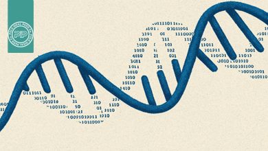 DNA بدون سلول (cfDNA)