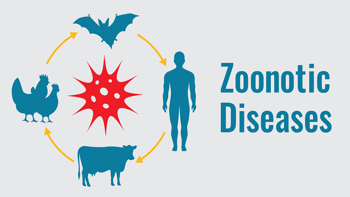 zoonotic-diseases-transmission زئونوز