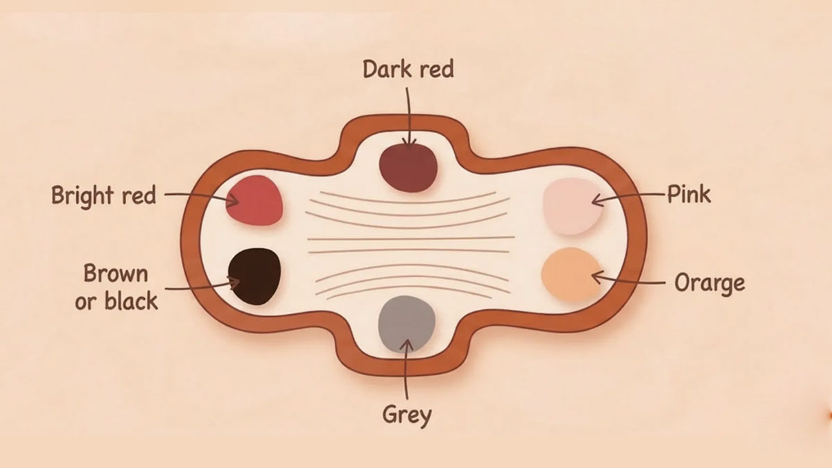 different-period-blood-colors- تغییر رنگ خون قاعدگی