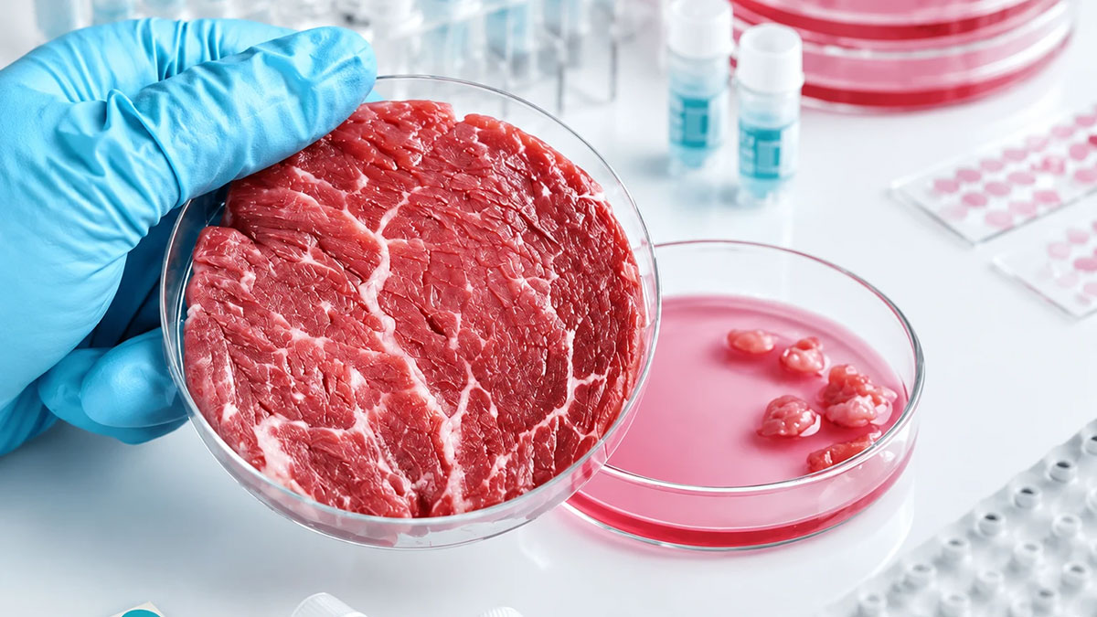 parasitic-animals-in-foods (2) هضم بافت خوراکی برای جداسازی انگلهای مرتبط با پستانداران از بافت خوراکی