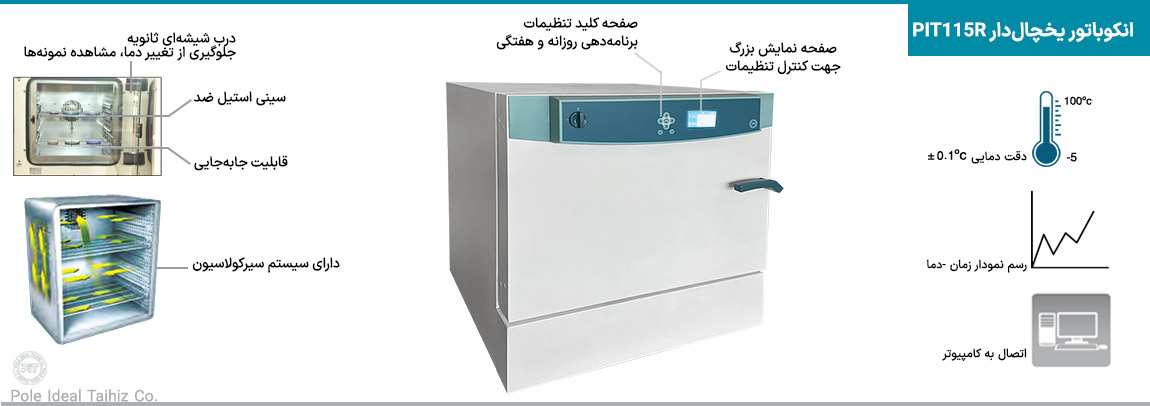 اینفوگرافیک